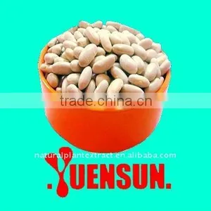 Water-soluble White Kidney Bean Extract/CAS NO.:13401-40-6 thumbnail-1