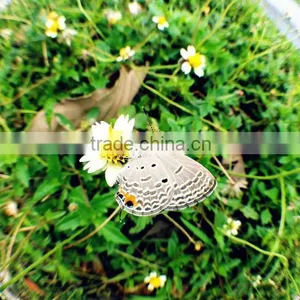 Magnetic 3 in 1 Mobile Phone Lens 0.67xWide Angle Macro 180 Fish Eye Lens Camera Kit Set for Apple IPhone 4 5 thumbnail-4