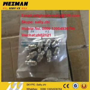 SDLG Orginal Grease Nipple, 4030000065, Sdlg Spare Parts for SDLG Wheel Loader LG956L thumbnail-1