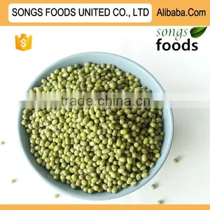Export Green Mung Beans From China thumbnail-1