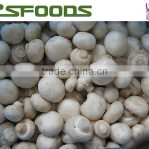 Frozen Mushroom Button Mushroom Champignon Mushroom thumbnail-6