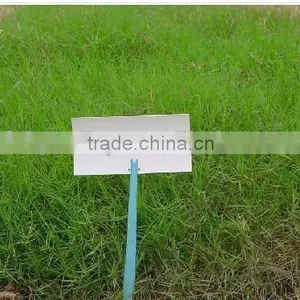 2016 New High Quality Grass Seeds Bermuda Grass Seeds For Sale thumbnail-5