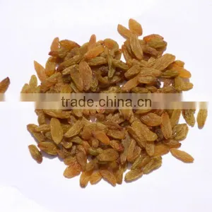 Raisins Long Natural Type thumbnail-1
