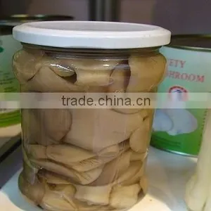 Oyster Mushroom thumbnail-1