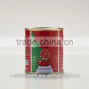 Oem Brand Canned Food Organic Flavor Tomato Paste Bright Red Color Tomato Ketchup Good Quality thumbnail-2