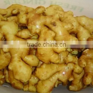 All Year Around Supply Fresh Ginger thumbnail-5
