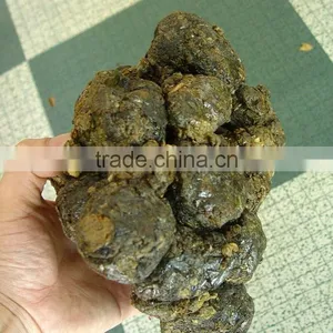 Raw Material Propolis for Health Food thumbnail-1