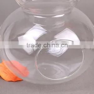 Micro Landscape Ecological Cucurbit Meaty Plant Glass Vase thumbnail-3