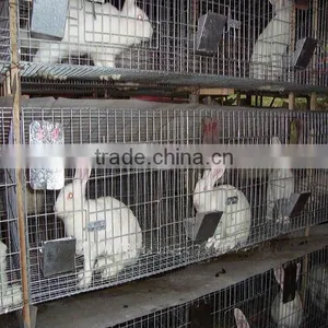 Top Promotion Double Rabbit Hutch For Sale thumbnail-6