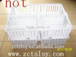 the Hot Quality the High Utilization Rate of Poultry Transport Box for Chicken and Duck thumbnail-3