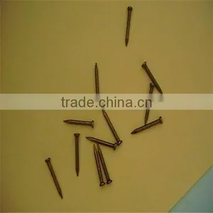 1/2"-13" High Quality Common Nails/ Stainless Steel Nail thumbnail-5