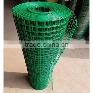 Square Hole Shape 1/4 Inch Galvanized Welded Wire Mesh for Sale thumbnail-6