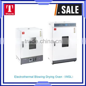 Electrothermal Blowing Drying Oven(WGL) thumbnail-1