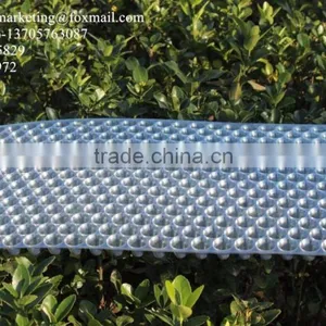 434 Holes Transparent Plastic Paddy Seed Starting Tray for Rice Propagation/Parachute Seedling Trays thumbnail-2