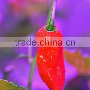 300 LED Grow Light Full Spectrum CE ROHS Certification Lighting for Indoor Greenhouse / Garden Plants Growing, thumbnail-6