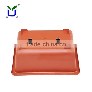 Rectangular Plastic Pot for Daffodils thumbnail-2