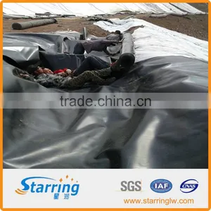 Chinese Top HDPE Geomembrane for Dam Lining thumbnail-6