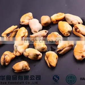 Price of Mussels in Shellfish Import Export Frozen Seafood thumbnail-4