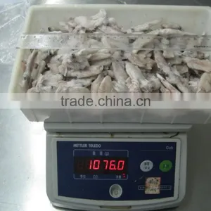 Grade A IQF Baby Squid Loligo Japonica thumbnail-3