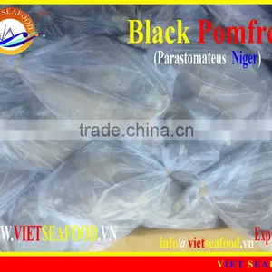 FROZEN BLACK POMFRET WHOLE ROUND thumbnail-1