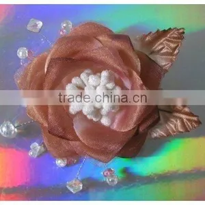 Rose thumbnail-1