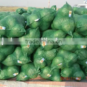 Onion PP Leno Mesh Bags, Plastic Bags for Vegetables thumbnail-2