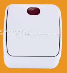 S6101
