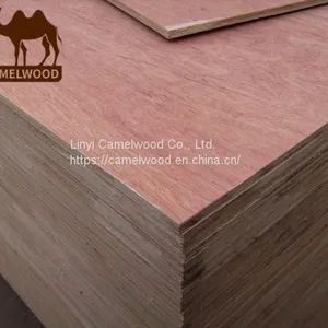 1220x2440mm Commercial Plywood 18mm Bintangor Face Plywood for France Market Bintangor Plywood thumbnail-3