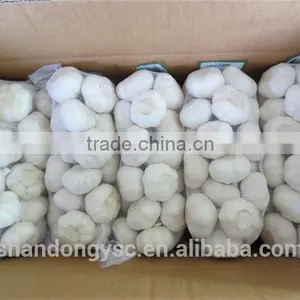 Factory Price Chinese Natural Red Garlic(normal White Garlic, Purple Garlic, White Garlic) thumbnail-5