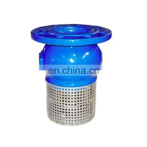 DN150 PN16 GGG50 Ductile Iron Foot Valve With Stainless Steel Strainer thumbnail-4