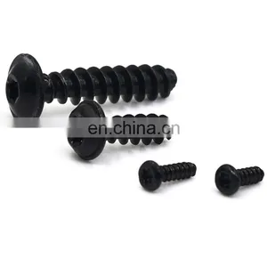 Turss Flanged Head Torx Recessed PT Thread Forming Screw for Plastics Self Tapping Screw thumbnail-1