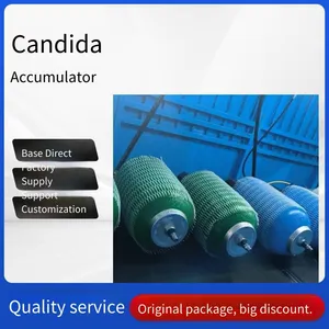 Bladder Accumulator Nxq80l/6.3l/10l/20l/40l, Accumulator Nitrogen Tank thumbnail-1