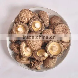 Dried Tea Flower Mushroom thumbnail-1