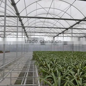 Hot Dipped Galvanized Frame Double Layers Inflatable Greenhouse thumbnail-2