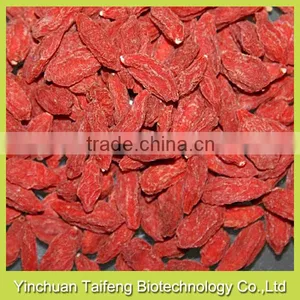 Gojiberry From Manufacturer thumbnail-4