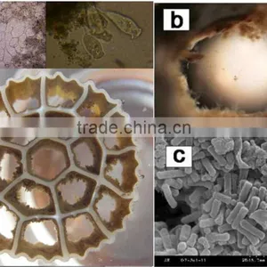 MBBR Membrane Media thumbnail-2