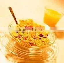 Hot Sale Automatic Breakfast Cereals/Corn Flakes Processing Line thumbnail-5