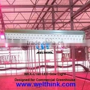 LED Plant Grow Light, 100W,150W, 200W, 300W Led Plant Grow Lamp, Tri-band thumbnail-1