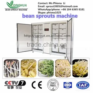 Bean Sprout Machine Mungbean Bean Grwoing Machine thumbnail-2
