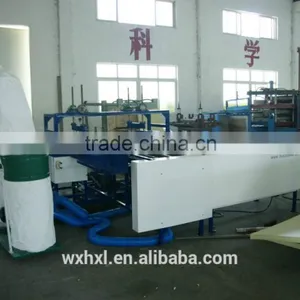 Freon as Foaming XPS Production Line(HIM-X-250) From HiSuccess thumbnail-2