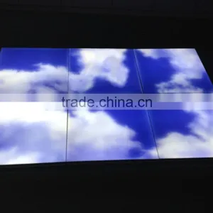 IP44 Input Voltage 100-240VAC 600X600MM 48W Frameless CE LED Sky Light thumbnail-5
