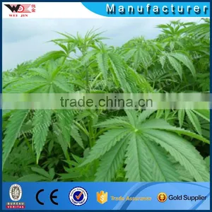 Durable 2 Tons High Capacity Sisal Hemp Decorticator Machine thumbnail-3