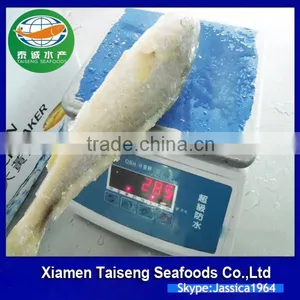 China Seafood Supplier Frozen Yellow Croaker With Good Quality thumbnail-4