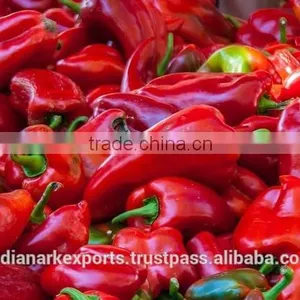 Paprika Oleoresin for Egg Yolk Pigmentation thumbnail-6