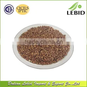 Chinese Wholesale Dried Style Roasted Buckwheat Kernel thumbnail-2