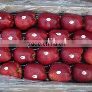 New Crop Red Delicious Apple 18kg Ctn thumbnail-3