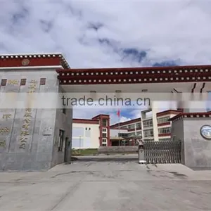 Tibet Yuthog Healthy Products Co., Ltd. company overview - view 1 thumbnail