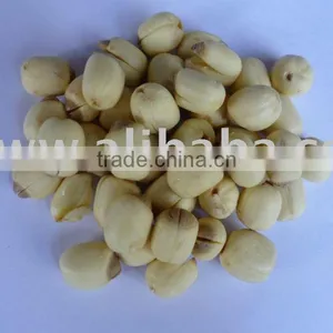 Lotus Seed thumbnail-1