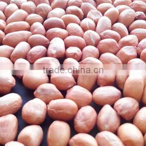 Roasted Peanuts thumbnail-2