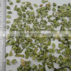 AD Parsley thumbnail-1